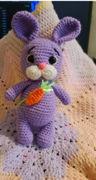 Bunny Rabbit