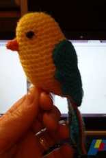 Bird - maybe parrot by Lime Green Lady