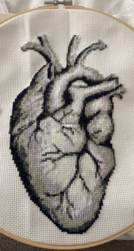 coeur anatomique