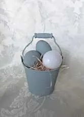 Bucket with eggs