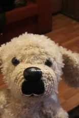 Doggie