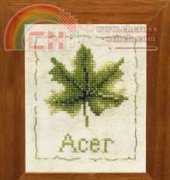 Lanarte 34583 Acer