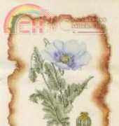 Zolotoe Runo ZR KK-001 Papaver Somniferum