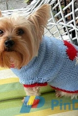 The Boyfriend Dog Sweater by My Savannah Cottage -Free