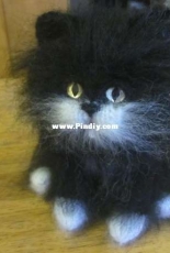 black cat