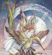 HAED HAEJB 003 Amid Hummers by Jody Bergsma