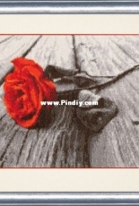 Zolotoe Runo SM-021 Romance
