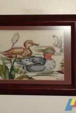 Small ducks