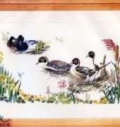 Thea Gouverneur 2064 - Ducks on the Pond