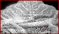 Peacock Feathers Shawl - Dorothy Siemens