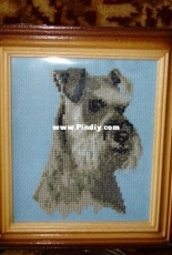vernissage of dogs 3