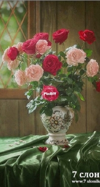 7 Elephants - Garden Roses