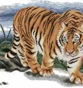 Korean Cross Stitch KCS G007 Tiger XSD