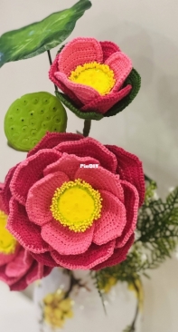 My Lotus