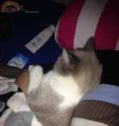 Sleepy time