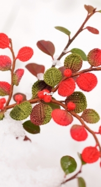 Lychette Crochet Nature - Pamela Bartoszewicz - Cotoneaster - Free