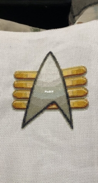 Star Trek badge gift