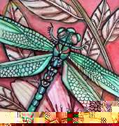 HAED HAECCKQS 810 QS Dragonfly 3 by Ching-Chou Kuik