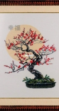 Riolis 1036 - Bonsai XSD