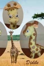 my little giraffe