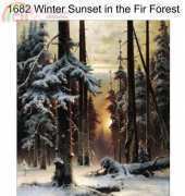 Golden Kite 1682 - Winter Sunset in the Fir Forest - Golden Kite 1683