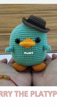 Amigurumis Monterrey - Irene Godinez - Perry the platypus
