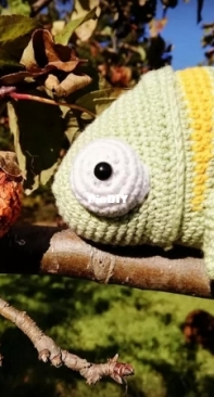 Summer cameleon :)