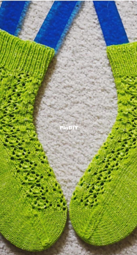 Alexandrina Socks by Southern Skeins-Free