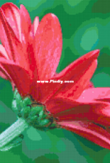 Better Cross Stitch - Red flower - Free