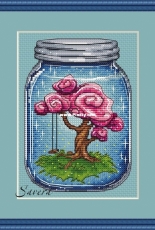 Savera - Jar