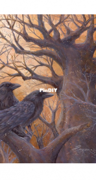 HAED - HAEJB 20190610 - The Calling by Jody Bergsma