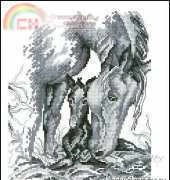 OOE 87944 - Horse and foal