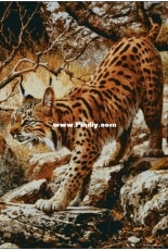 Chimera - Stalking lynx