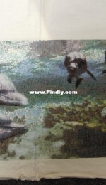 Finished dolphins