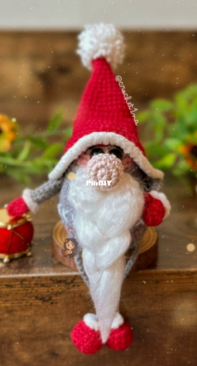 Crochetina - Paulina Cáceres - Gnome