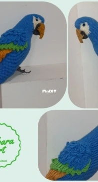my parrot