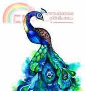 HAED HAEANK 105 Peacock Fantasy by Annya Kai