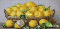 Chimera - Lemon Placers