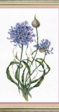M.P. Studio NV-539 Decorative Onion