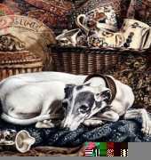 HAED HAETRL100 Addie on Pillow by Thomas Rivers Lovelace