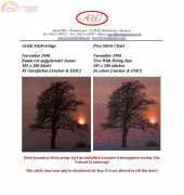 Kreuzstich Kreativ - Tree for rising Sun