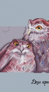 Owls by Marina Rozhina