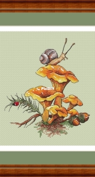 Chanterelles by Olga Knyazeva