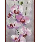 Heritage Stitchcraft - Flower Panels JCOR686 Orchid Panel by John Clayton XSD