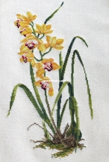 Eva Rosenstand 14-156