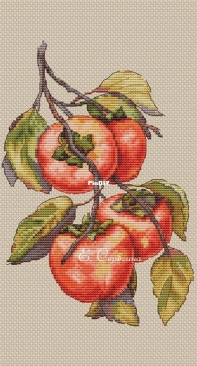 Persimmon by Ekaterina Seregina/Seryogina