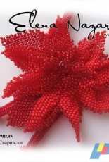 Elena Nazarcluk Poinsettia пуансеттия patterns translated french