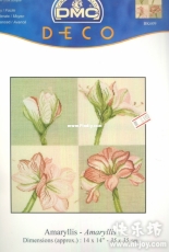 DMC BK609 Amaryllis XSD