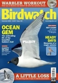 Birdwatch UK - Issue 399 - September 2025