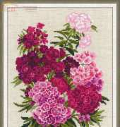 Riolis 1463 - Turkish Carnation in XSD